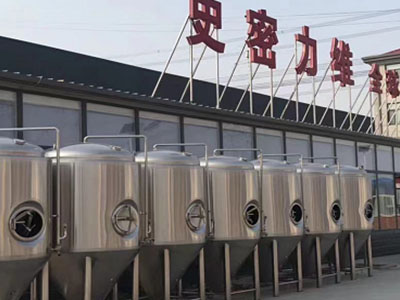 岳西精酿啤酒设备厂—如何判断精酿啤酒设备的密封件需要更换？